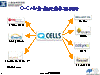 Q-Cells分散投資各項技術