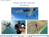 Online Tourism example:Sky Diving